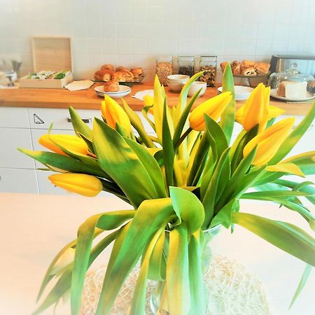 Saka Vacation House Druskininkai Dış mekan fotoğraf