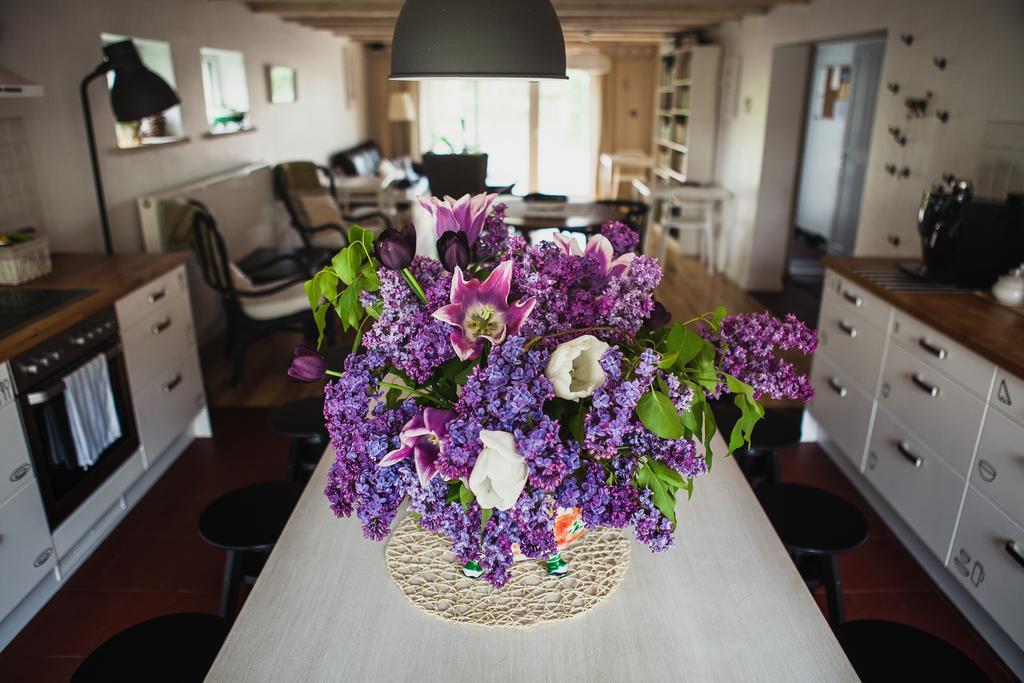 Saka Vacation House Druskininkai Dış mekan fotoğraf