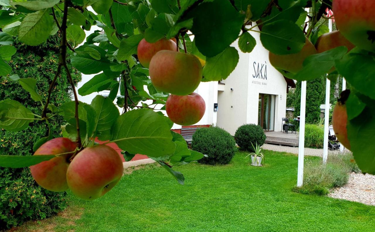 Saka Vacation House Druskininkai Dış mekan fotoğraf
